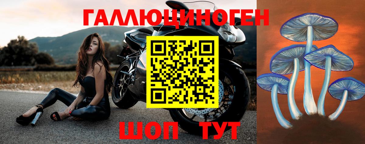Лангепас  Галлюциногенные грибы GOLDEN TEACHER  Вход с VPN 